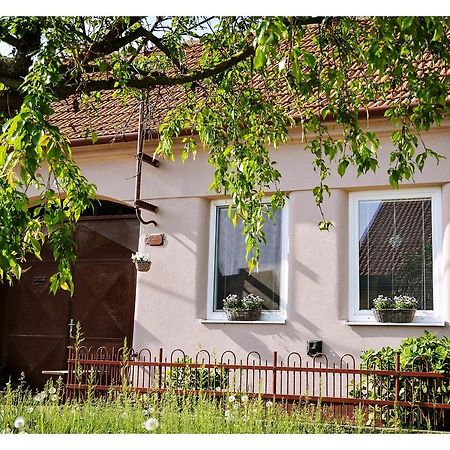 Ubytování U Trati Moravská Nová Ves Exterior foto